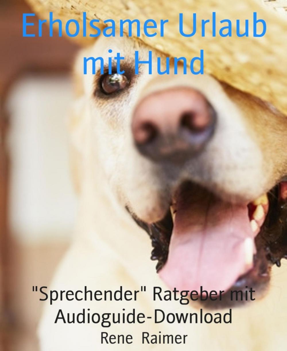 Big bigCover of Erholsamer Urlaub mit Hund