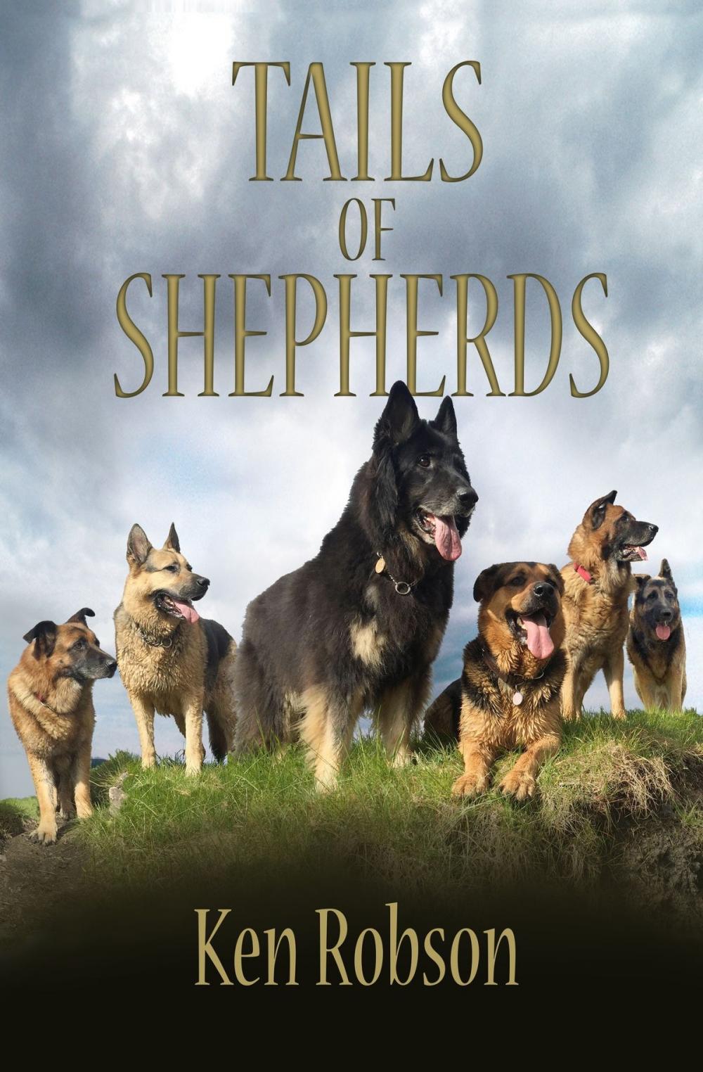 Big bigCover of Tails of Shepherds