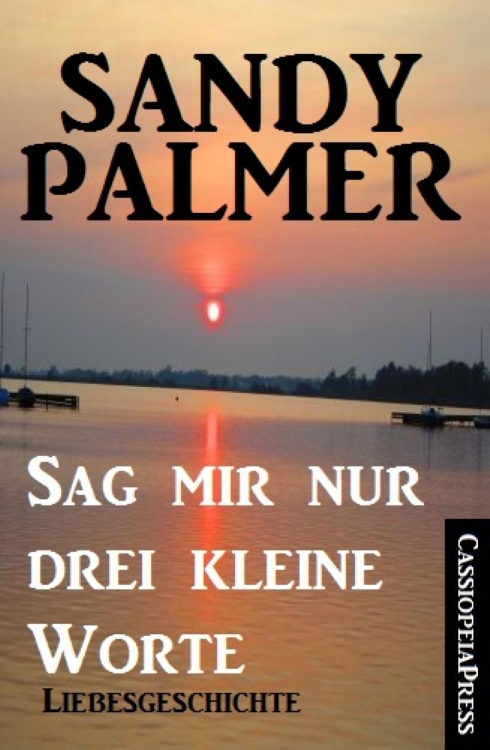 Big bigCover of Sag mir nur drei kleine Worte: Liebesgeschichte