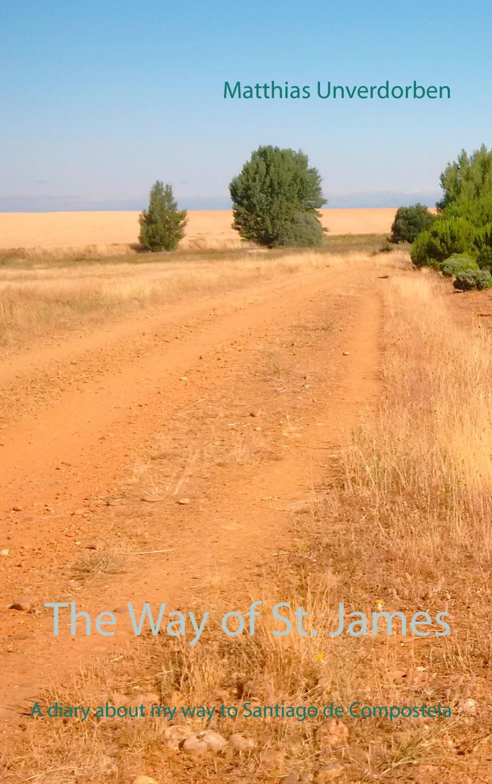 Big bigCover of The Way of St. James