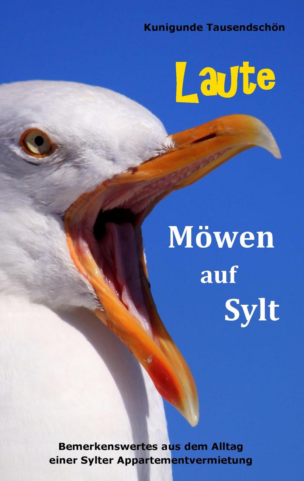 Big bigCover of Laute Möwen auf Sylt