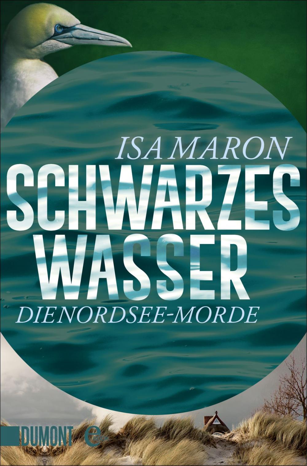 Big bigCover of Schwarzes Wasser