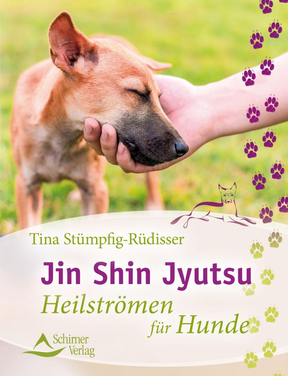 Big bigCover of Jin Shin Jyutsu