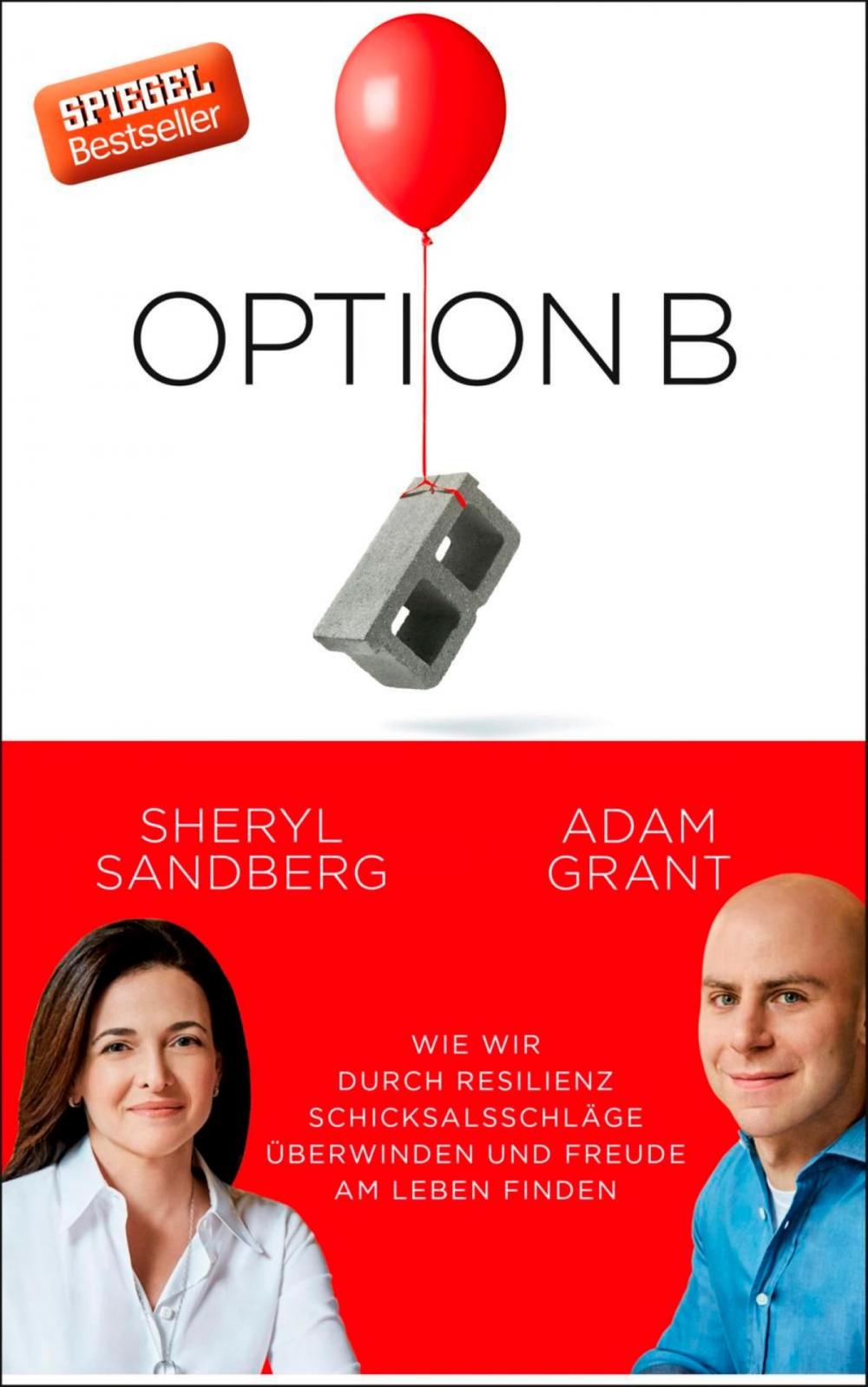 Big bigCover of Option B