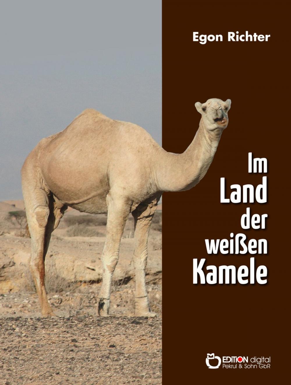 Big bigCover of Im Lande der weißen Kamele