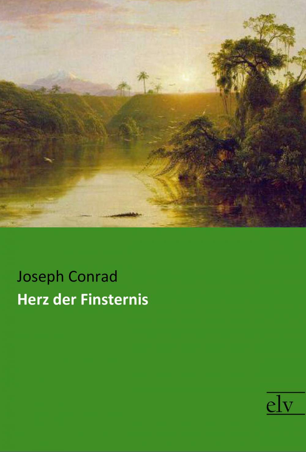 Big bigCover of Herz der Finsternis