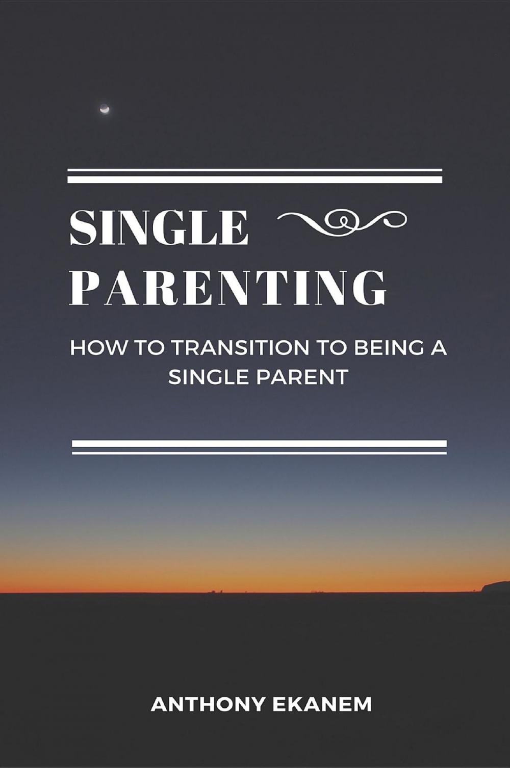 Big bigCover of Single Parenting