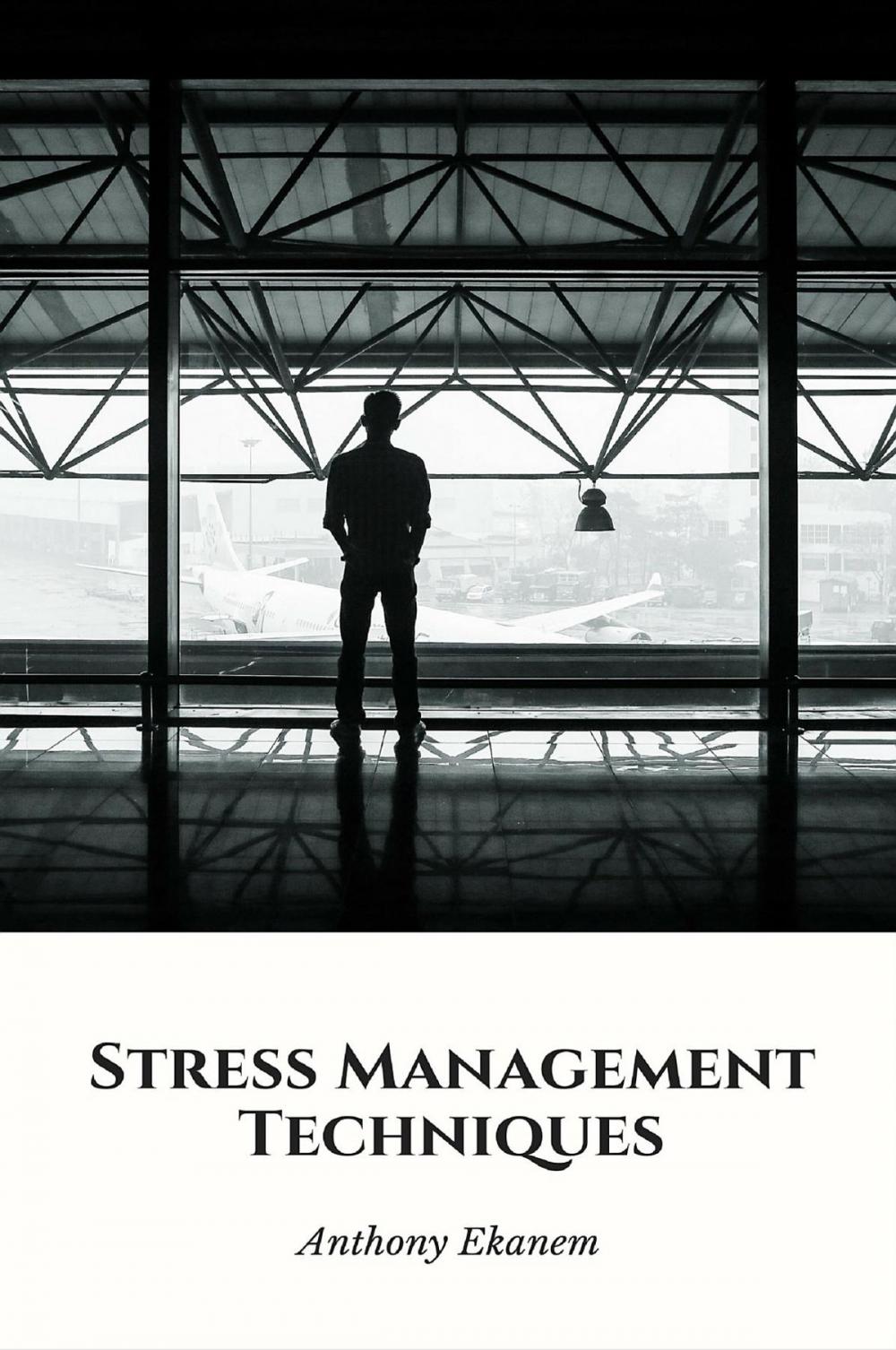 Big bigCover of Stress Management Techniques