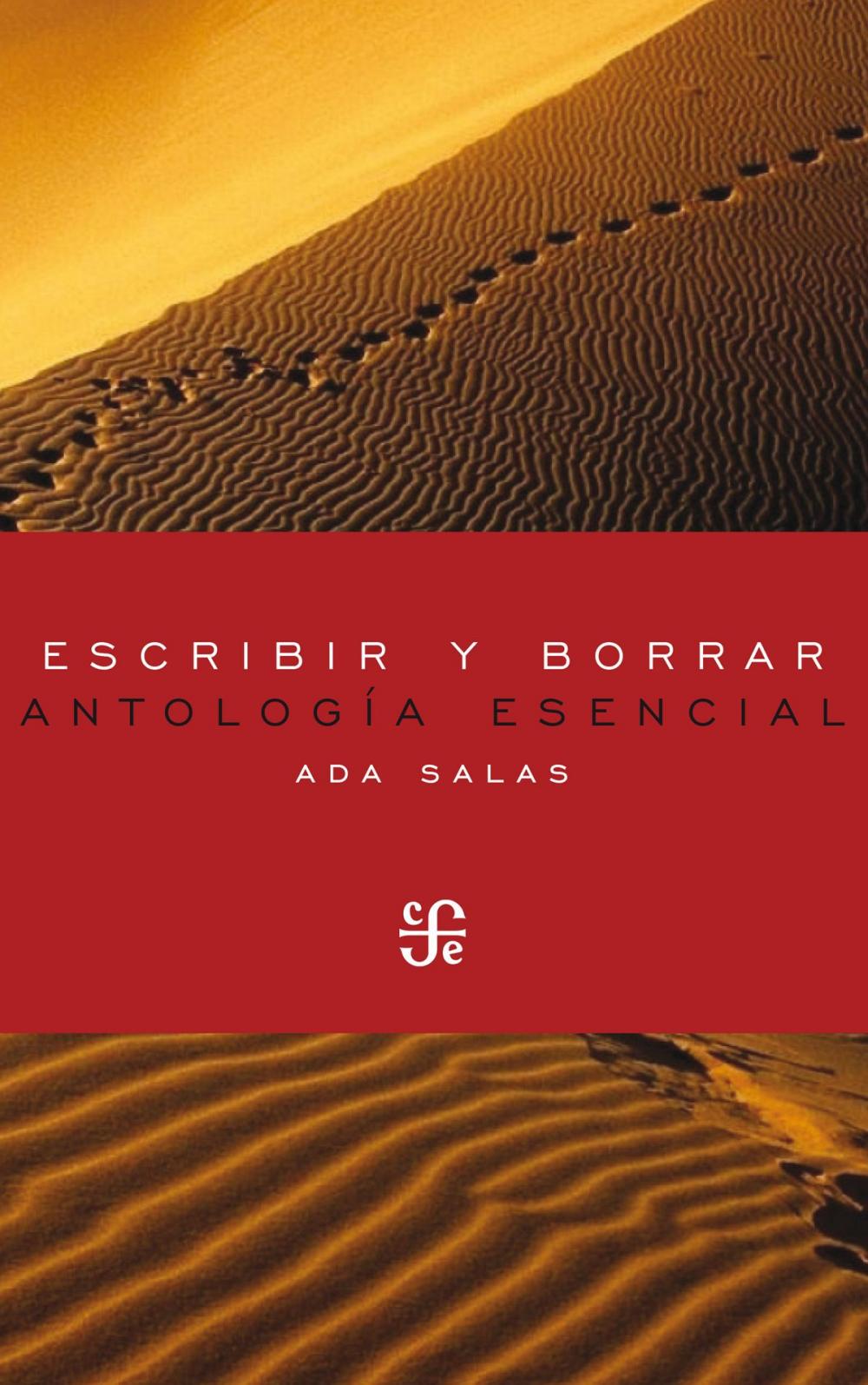 Big bigCover of Escribir y borrar