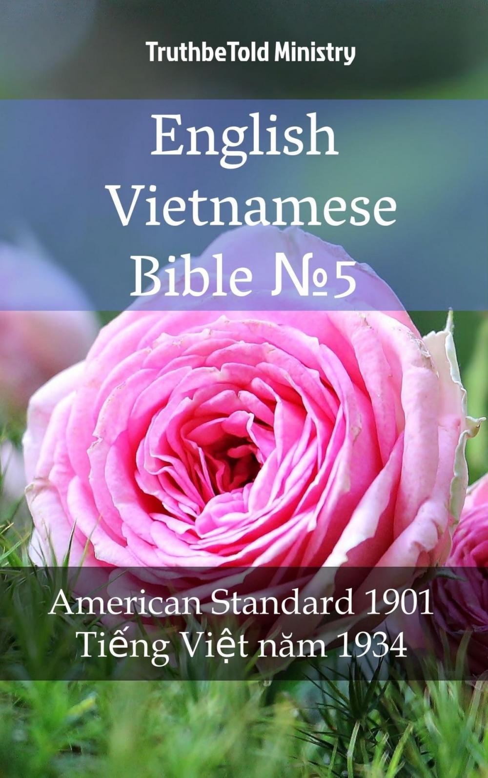 Big bigCover of English Vietnamese Bible №5