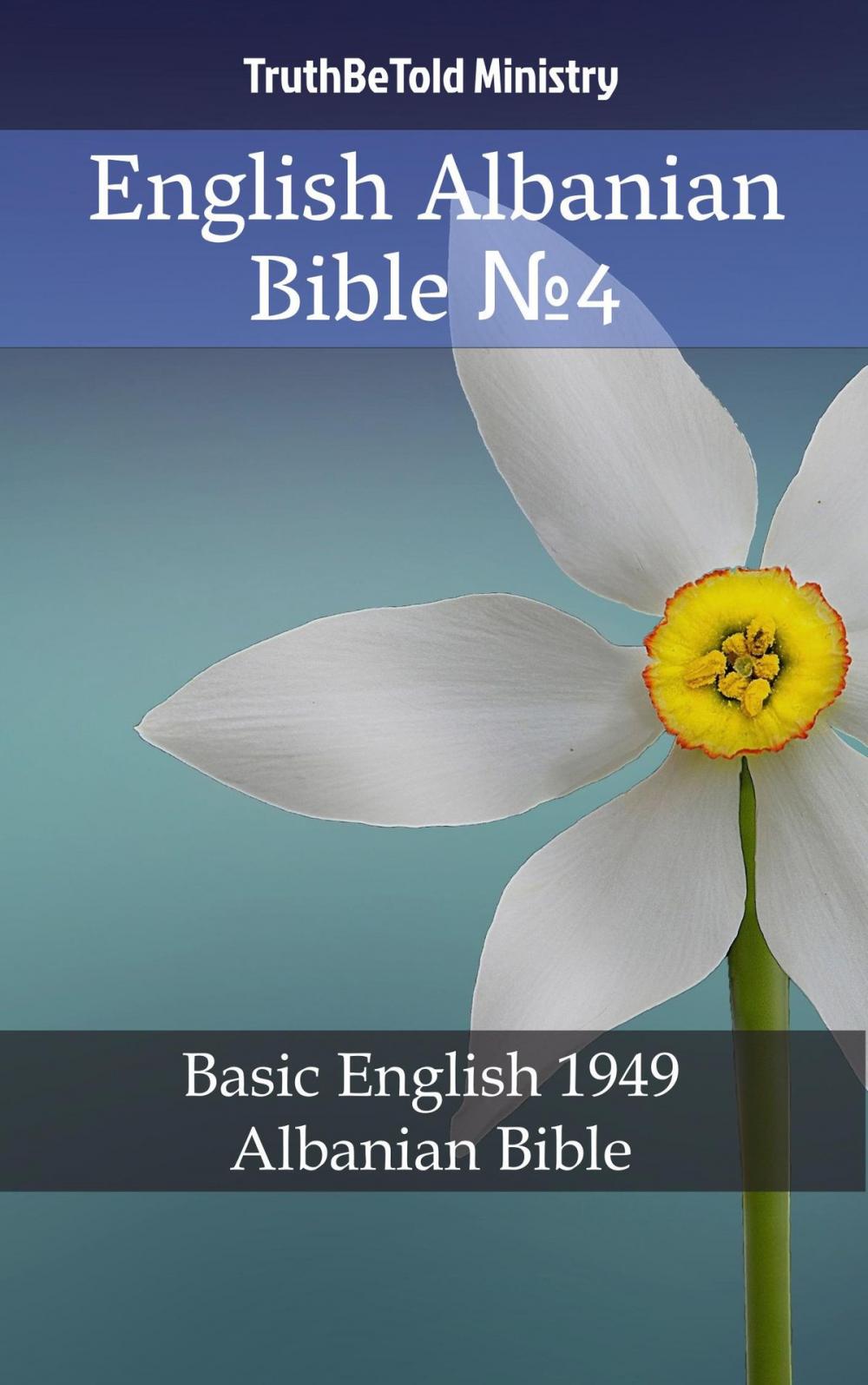 Big bigCover of English Albanian Bible №4