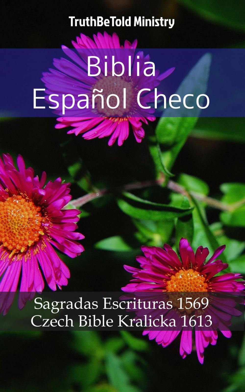 Big bigCover of Biblia Español Checo