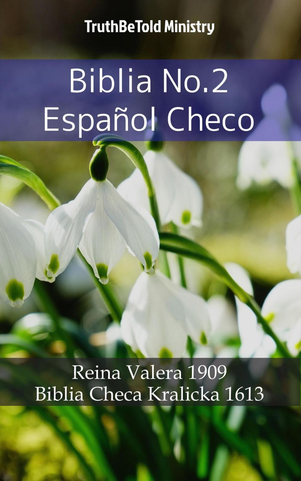 Big bigCover of Biblia No.2 Español Checo