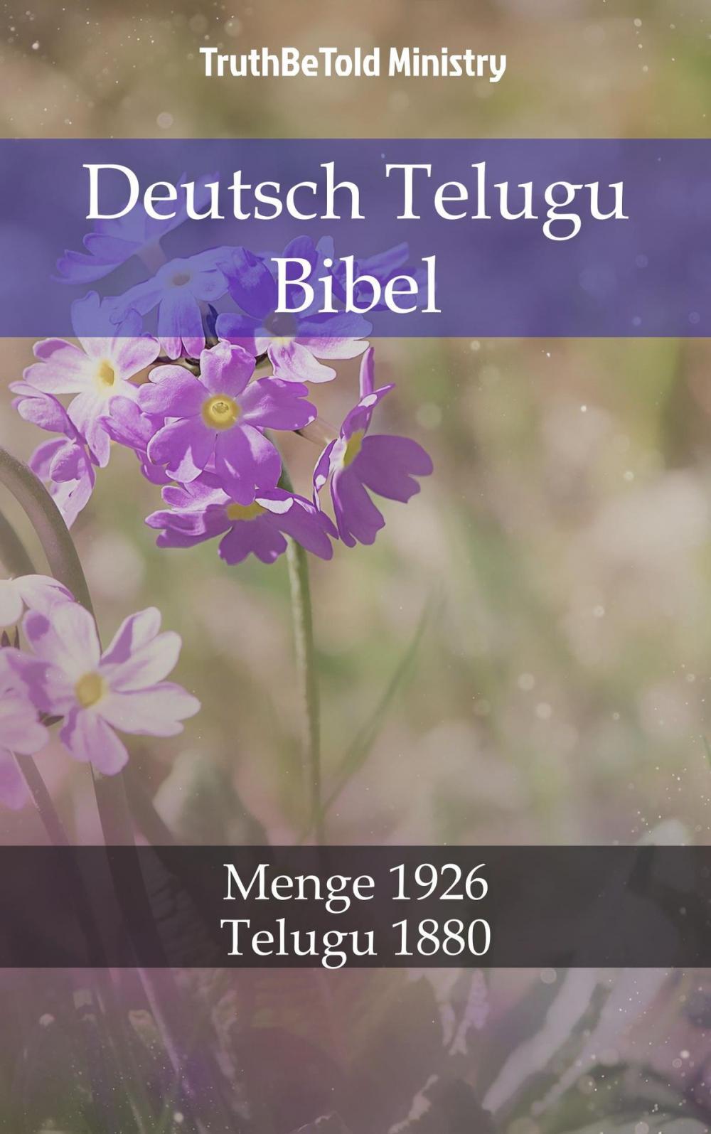 Big bigCover of Deutsch Telugu Bibel