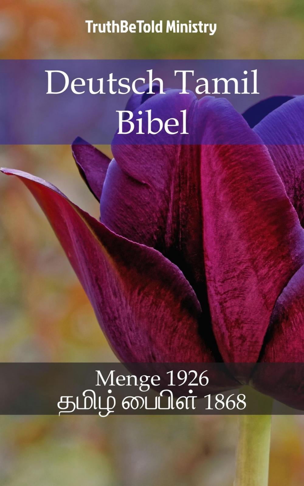 Big bigCover of Deutsch Tamil Bibel