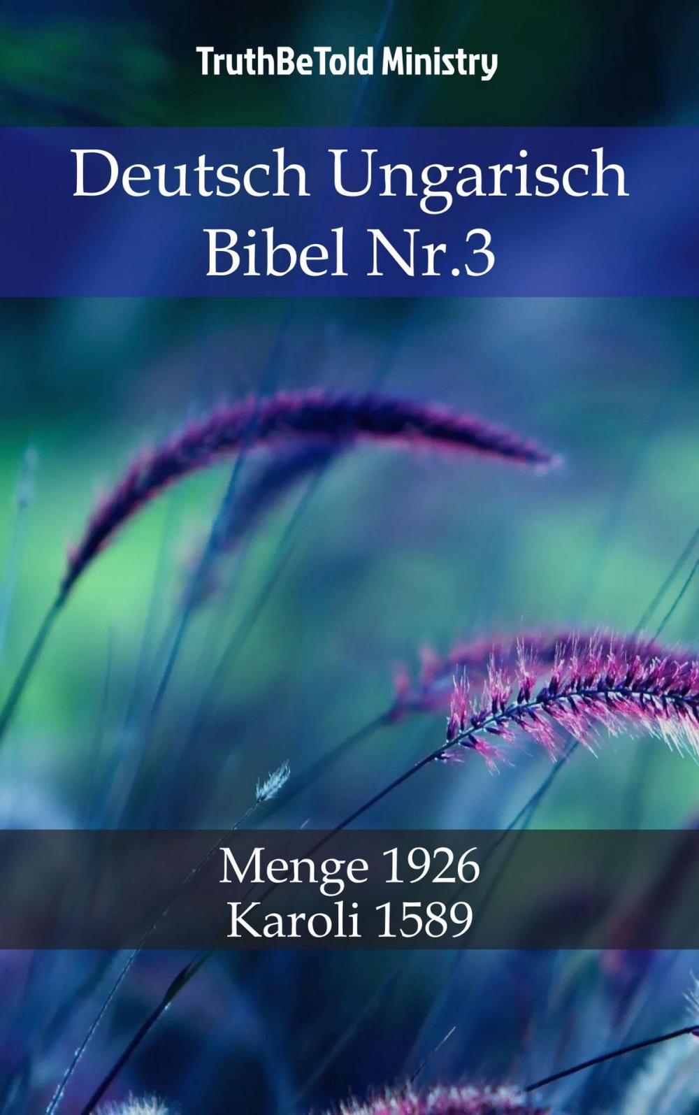 Big bigCover of Deutsch Ungarisch Bibel Nr.3