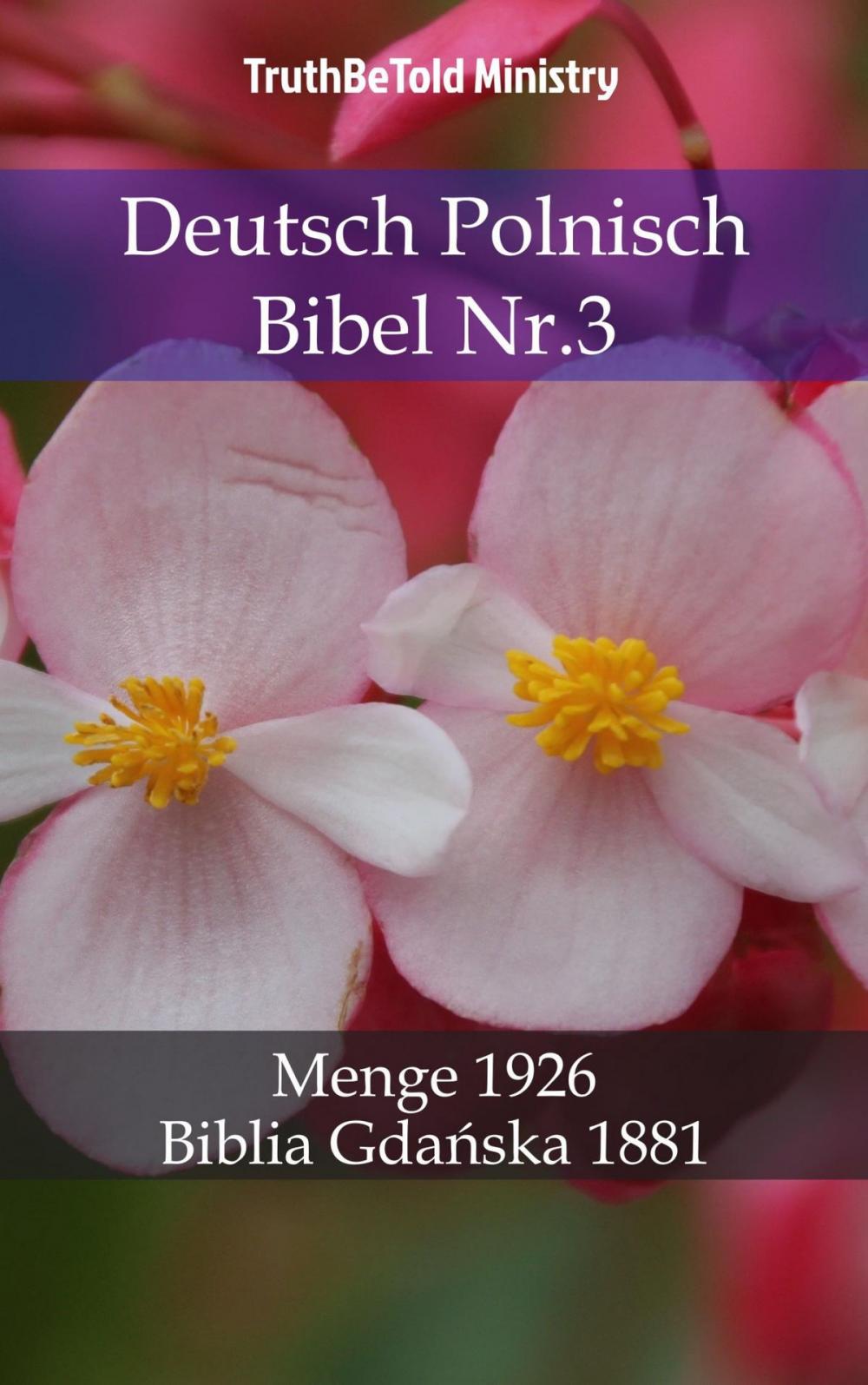 Big bigCover of Deutsch Polnisch Bibel Nr.3