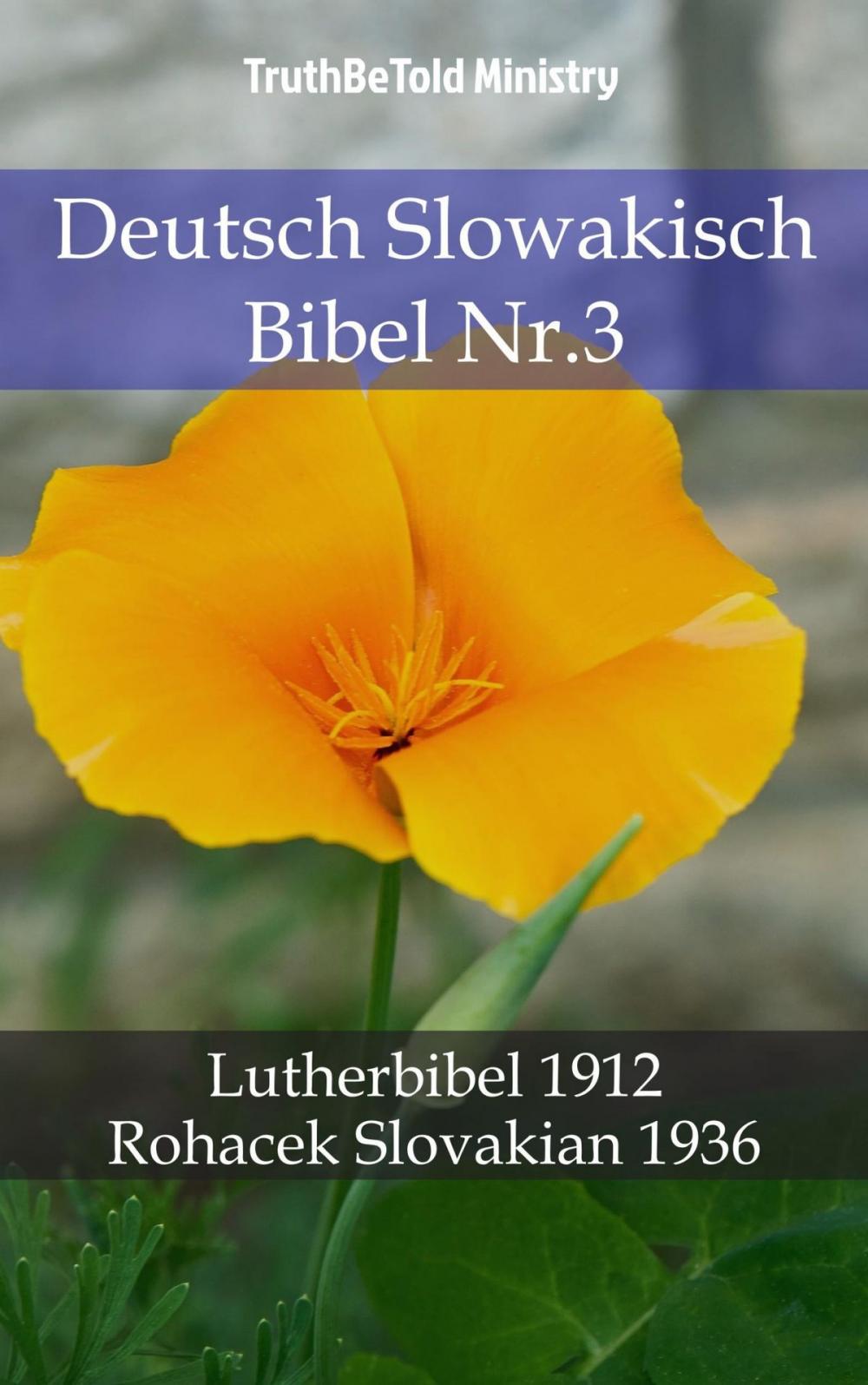 Big bigCover of Deutsch Slowakisch Bibel Nr.3