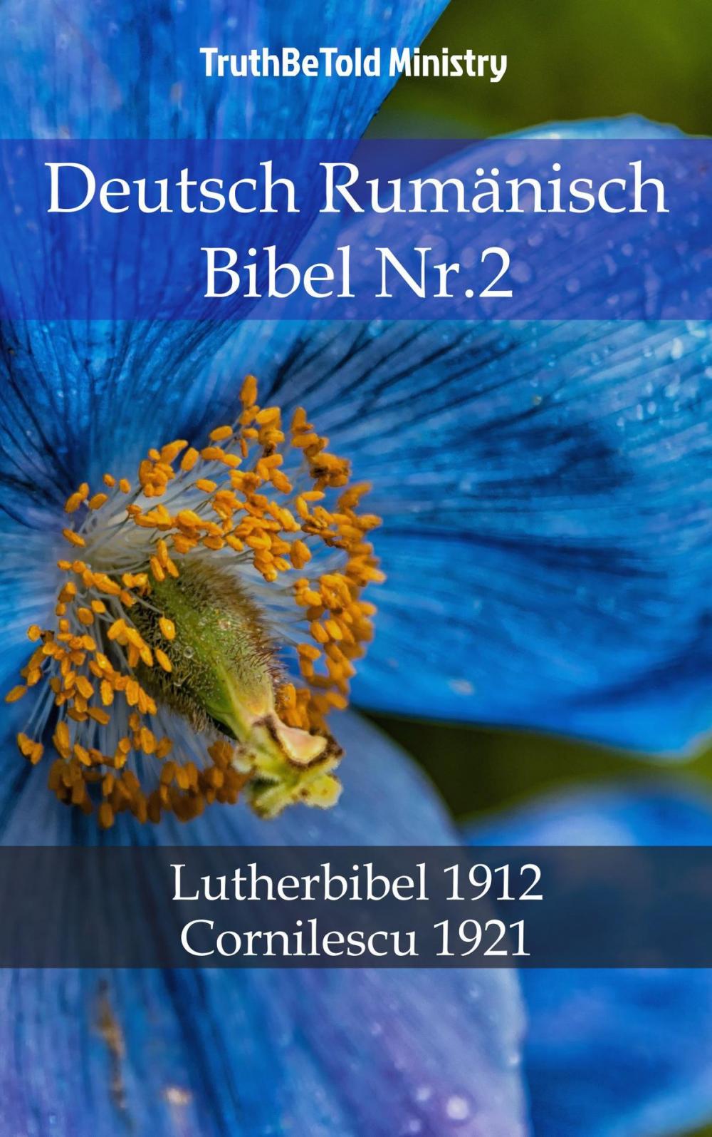 Big bigCover of Deutsch Rumänisch Bibel Nr.2