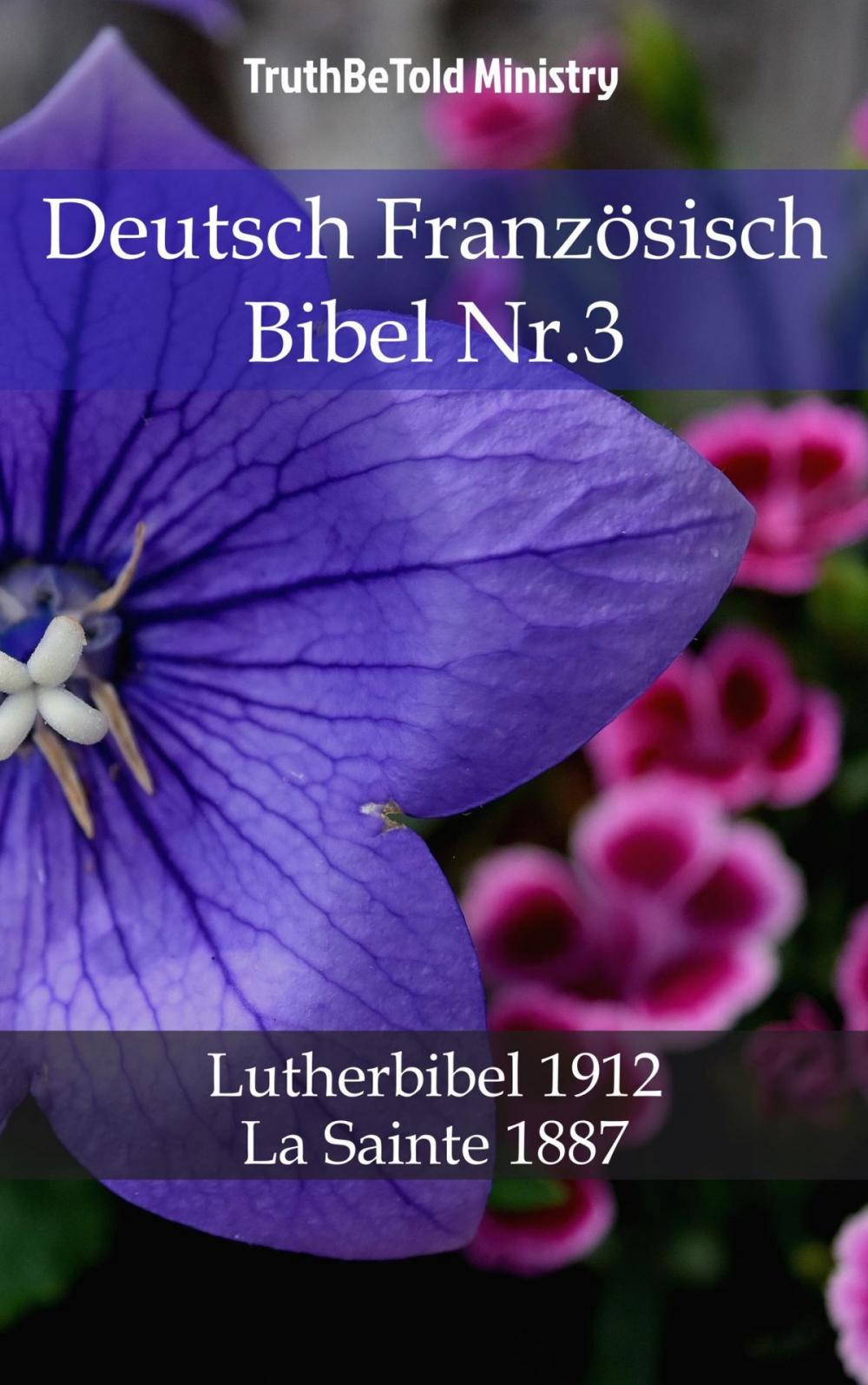 Big bigCover of Deutsch Französisch Bibel Nr.3