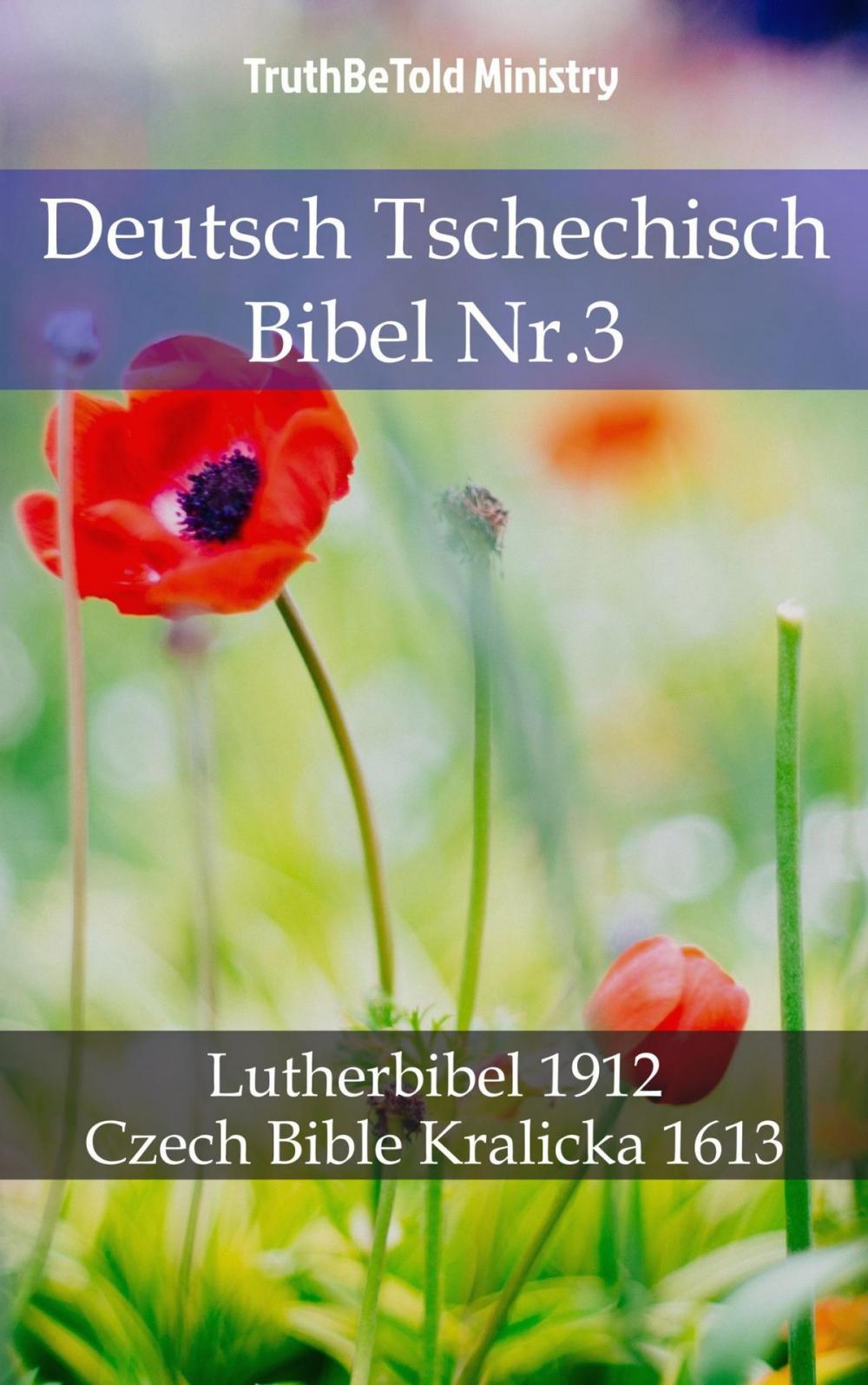 Big bigCover of Deutsch Tschechisch Bibel Nr.3