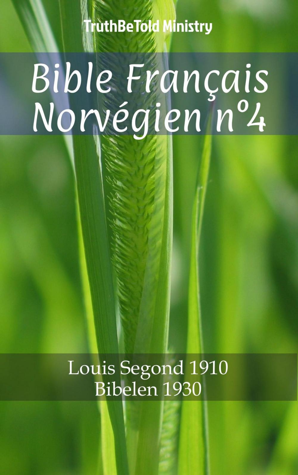 Big bigCover of Bible Français Norvégien n°4