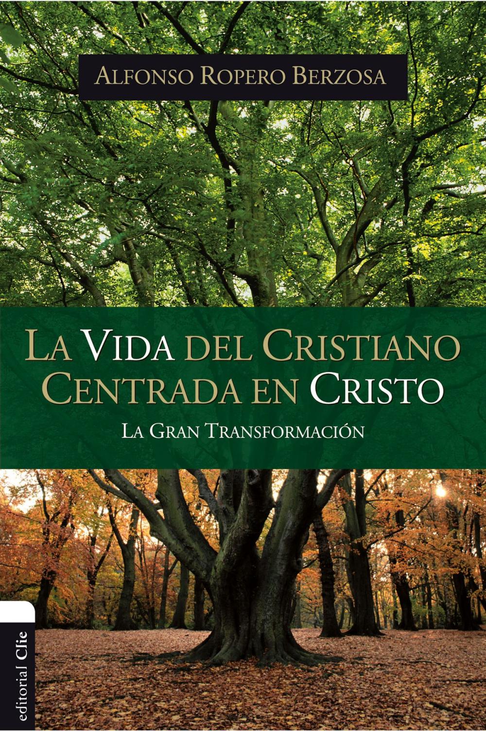 Big bigCover of Vida del cristiano centrada en Cristo