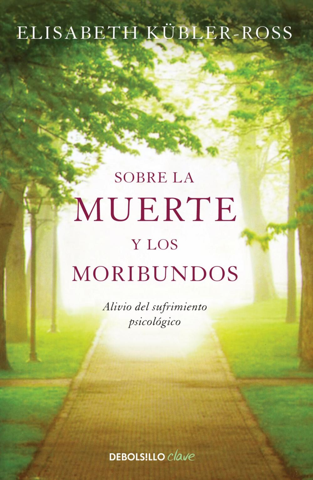 Big bigCover of Sobre la muerte y los moribundos