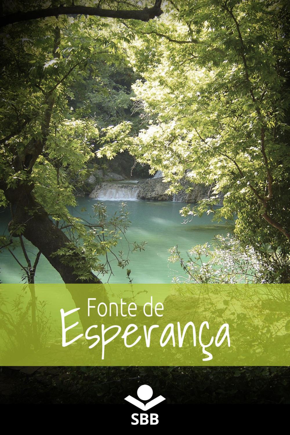 Big bigCover of Fonte de esperança