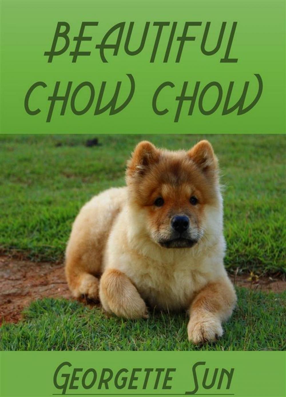 Big bigCover of Beautiful Chow Chow