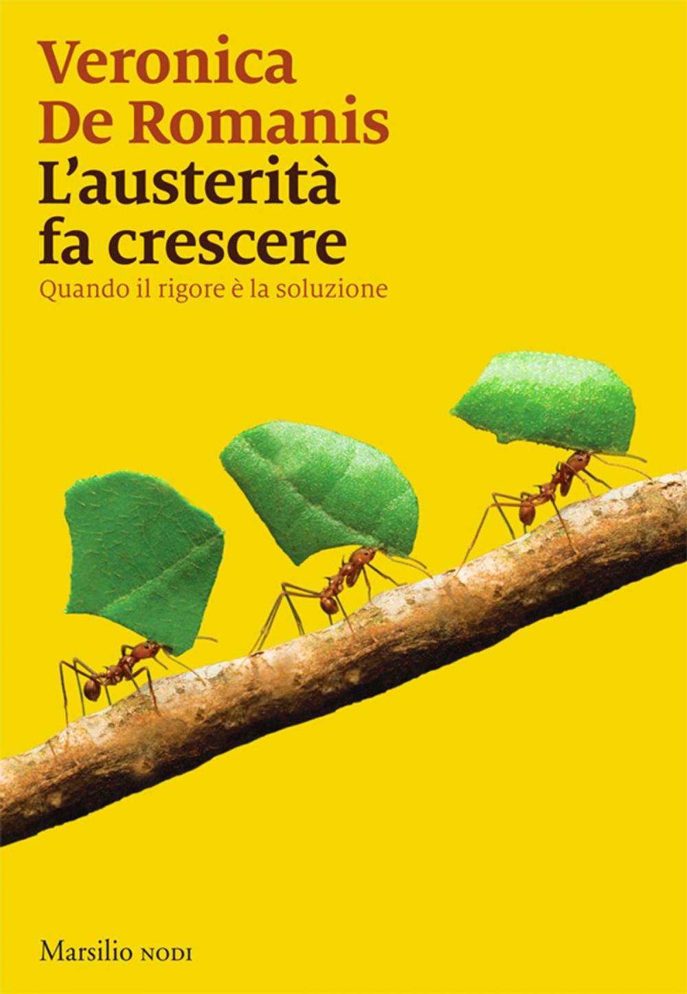 Big bigCover of L'austerità fa crescere