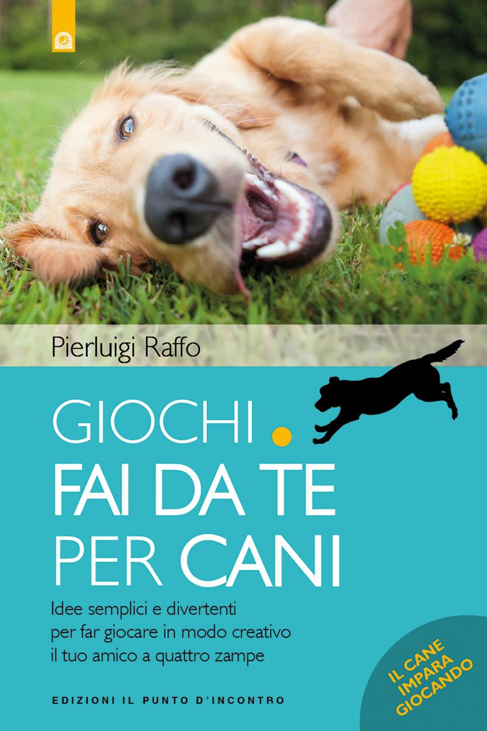 Big bigCover of Giochi fai da te per cani