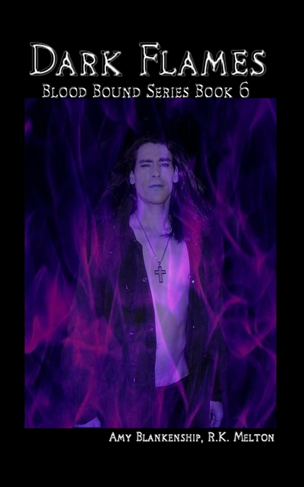 Big bigCover of Dark Flames (Blood Bound Book 6)