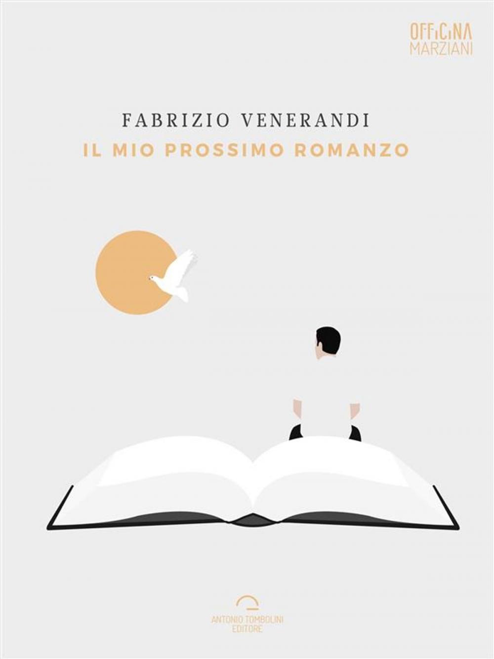 Big bigCover of Il Mio Prossimo Romanzo