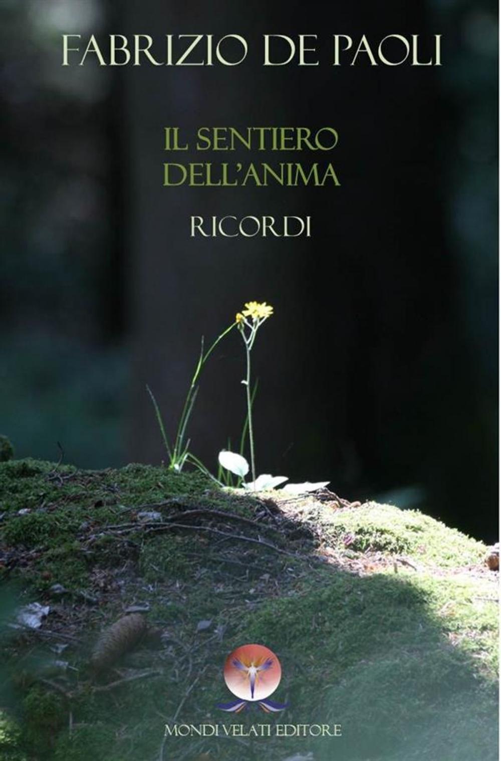 Big bigCover of Il sentiero dell'Anima