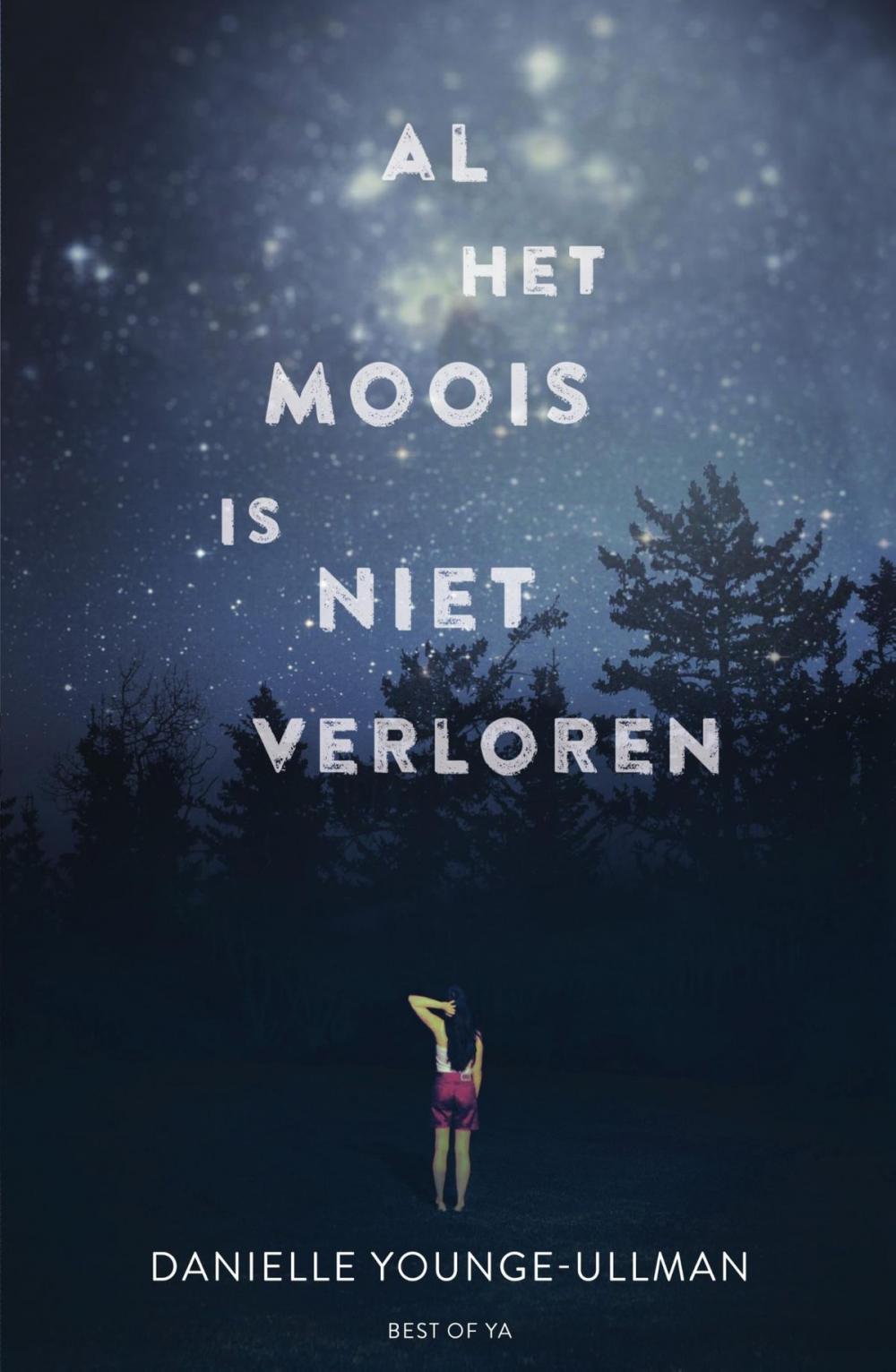 Big bigCover of Al het moois is niet verloren