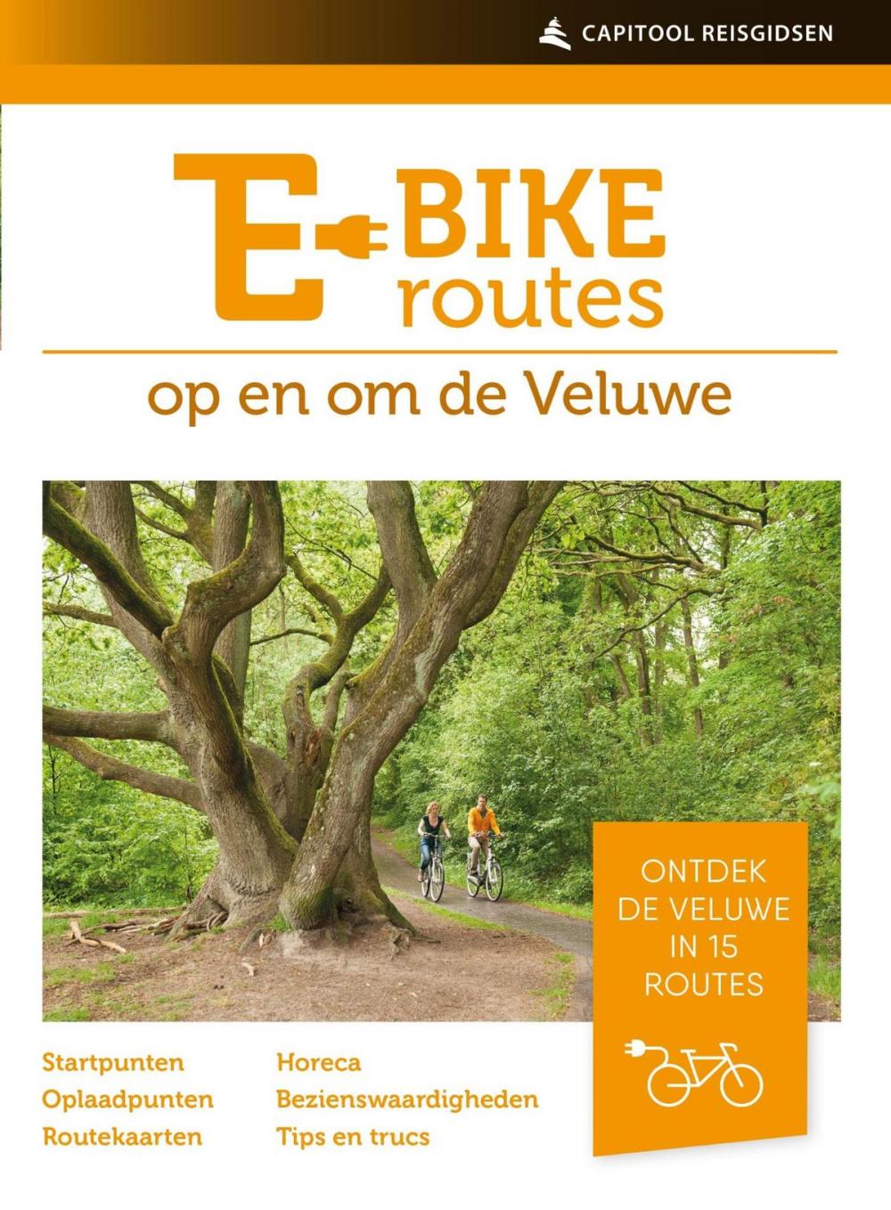 Big bigCover of E-bikeroutes op en om de Veluwe