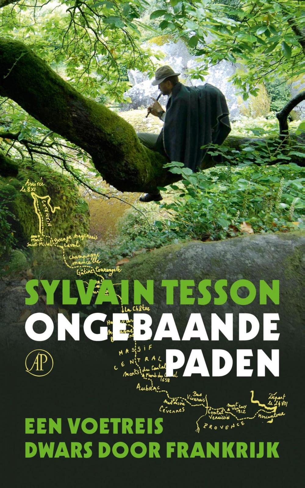 Big bigCover of Ongebaande paden