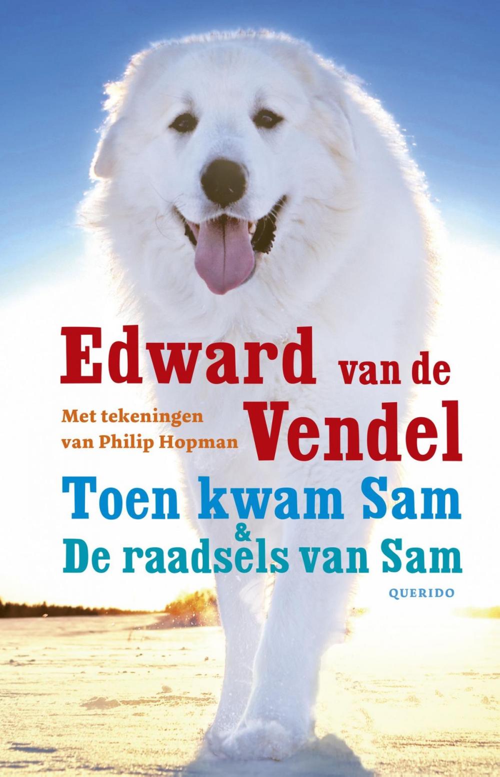 Big bigCover of Toen kwam Sam & De raadsels van Sam