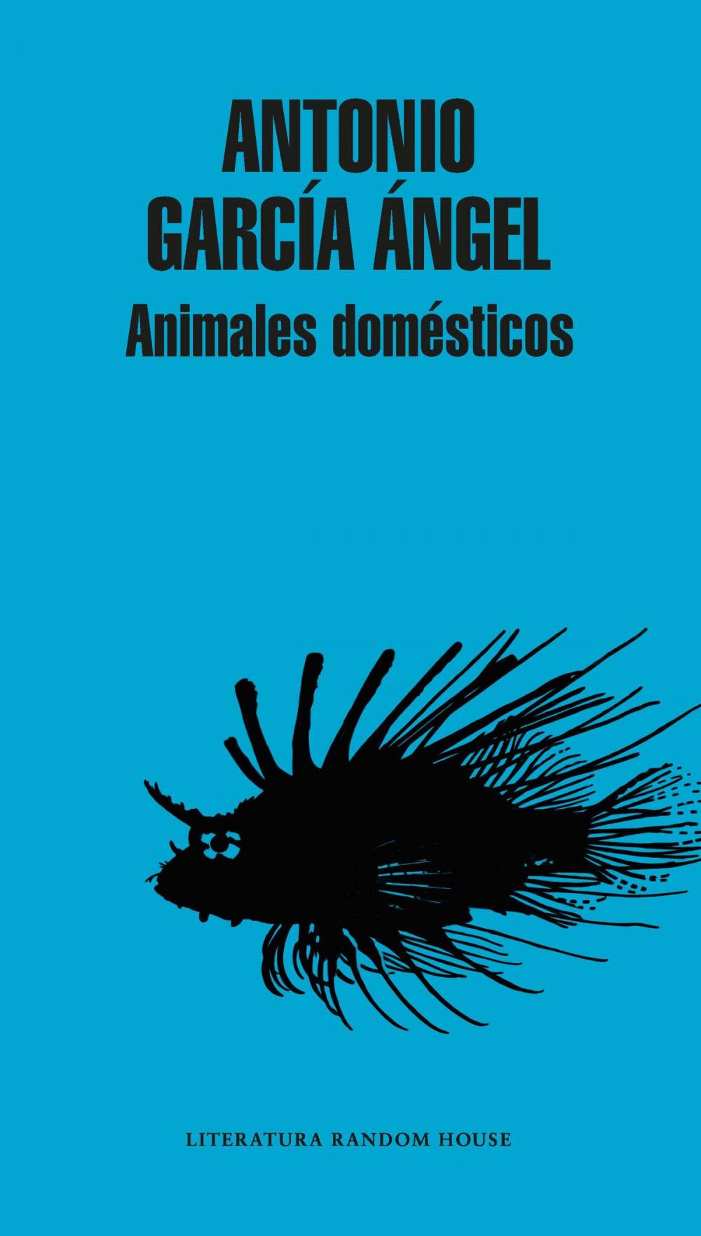 Big bigCover of Animales domésticos