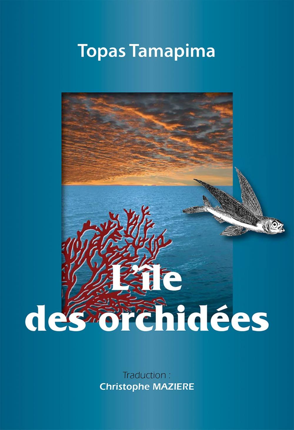 Big bigCover of L'île des orchidées