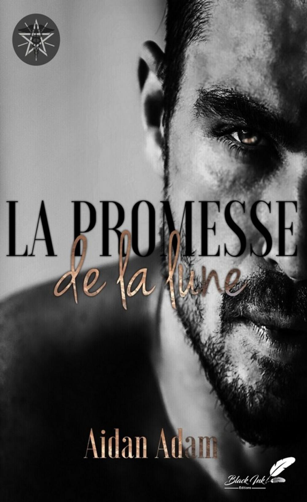 Big bigCover of La promesse de la lune