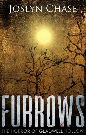 bigCover of the book Furrows by 