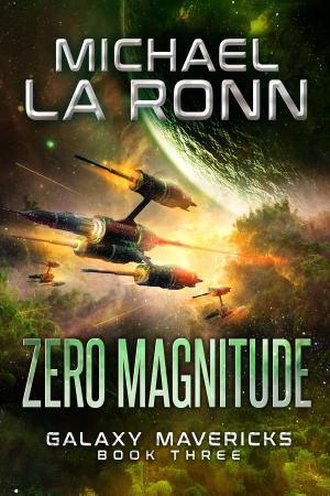 Cover of the book Zero Magnitude by M.S. Hund