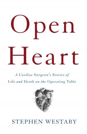 Cover of the book Open Heart by Jonathan Herman & Teri Smieja
