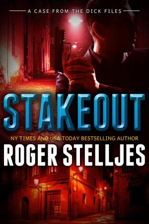 Book cover of Stakeout - A Case From The Dick Files