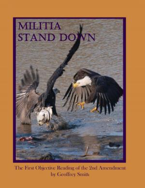 bigCover of the book Militia Stand Down: The First Objective Reading of the 2nd Amendment by 