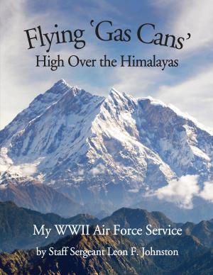 bigCover of the book Flying 'Gas Cans' High Over the Himalayas by 