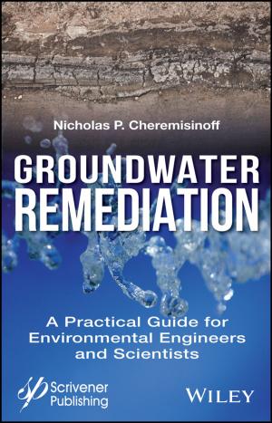 Cover of the book Groundwater Remediation by Etienne de Rocquigny