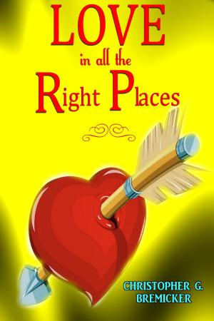 Cover of Love in All the Right Places